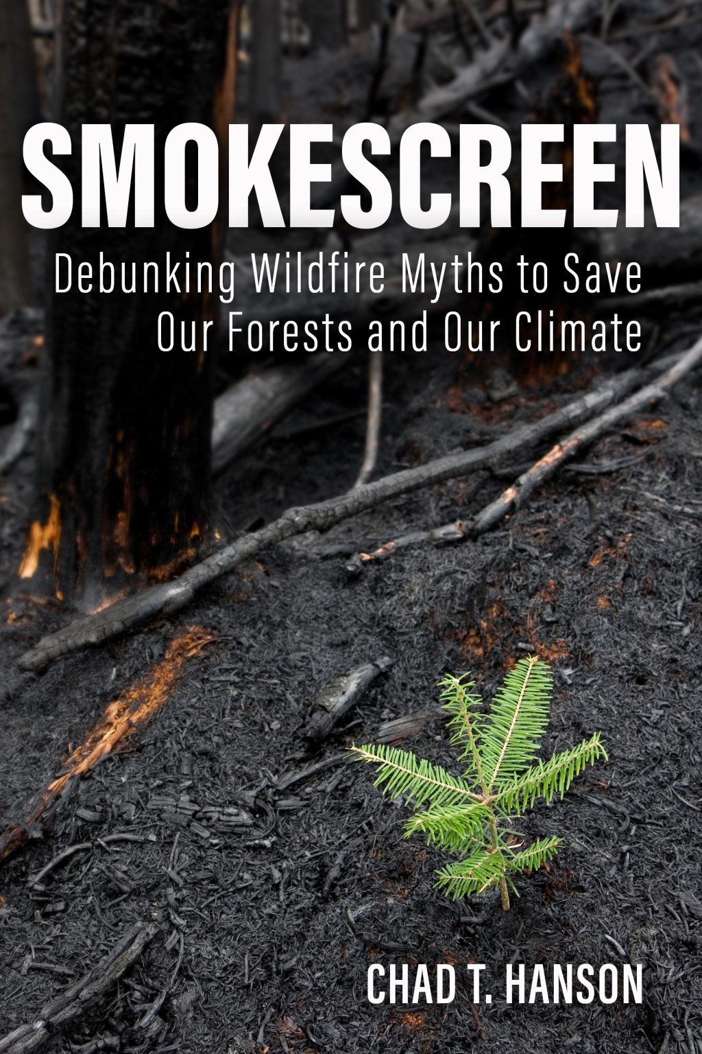 Is Betting On Wildfires A Reflection Of Our Times?