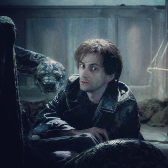 Is David Tennant Returning To The Max Harry Potter Series? Is David Tennant Returning To The Max Harry Potter Series?