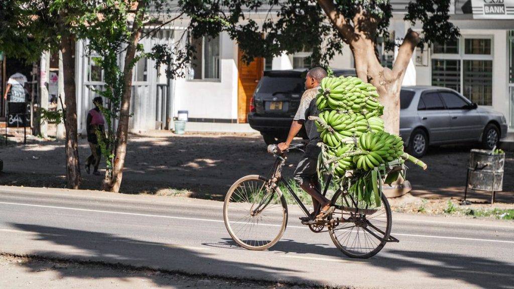 Is Uber One Right For You?  Exploring The Benefits In Kenya