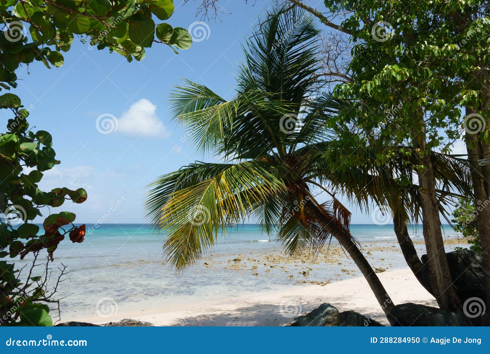 Italy's Little Tahiti: Powdery Sands And Turquoise Waters Italy's Little Tahiti: Powdery Sands And Turquoise Waters
