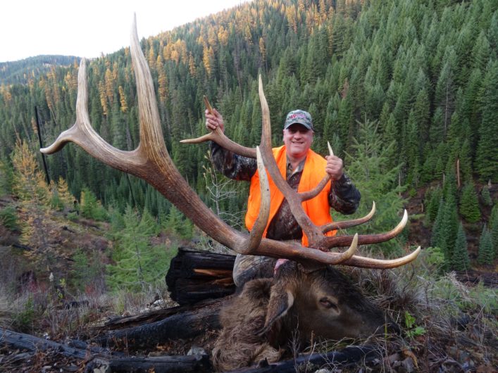 Jackson Elk Herd Hunt Season: Deeper Cuts After Public Feedback Jackson Elk Herd Hunt Season: Deeper Cuts After Public Feedback