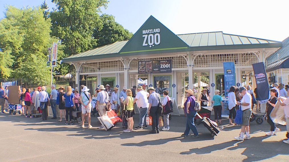 Jail Time For Antiques Roadshow Pair: Unintentional National Treasure Crime Jail Time For Antiques Roadshow Pair: Unintentional National Treasure Crime