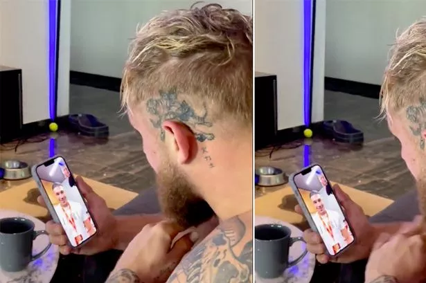 Jake Paul's Jake Paul's