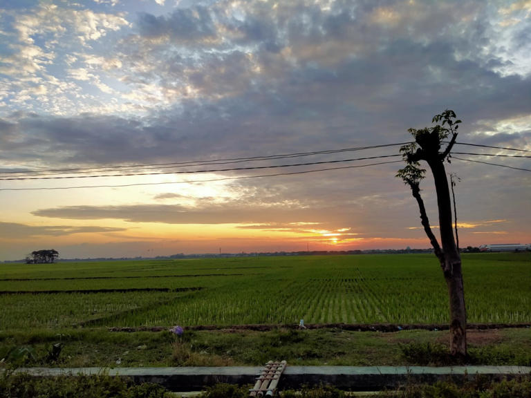 Jawa Tengah Diguyur Hujan: Peringatan Cuaca 23 April Jawa Tengah Diguyur Hujan: Peringatan Cuaca 23 April