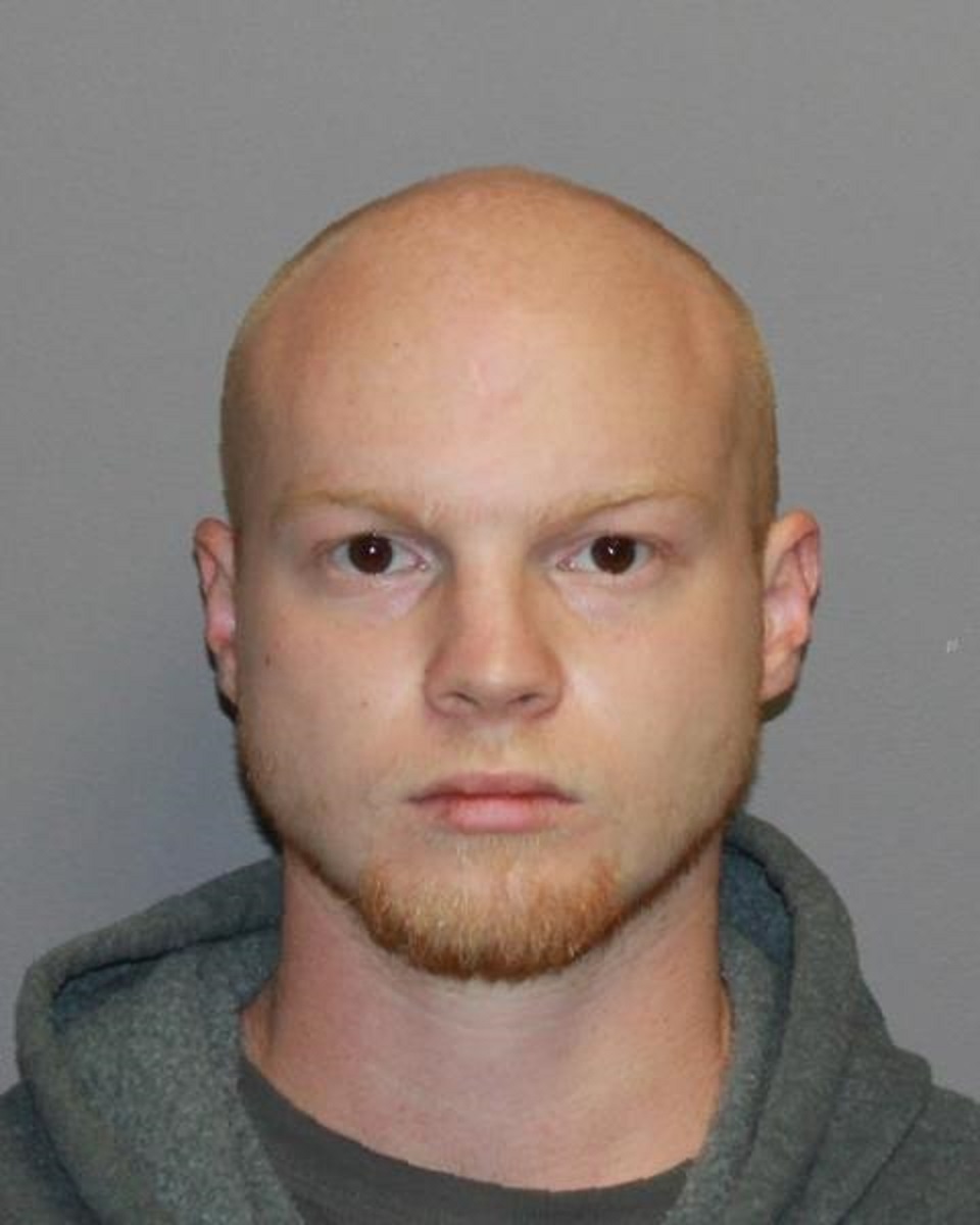 Kelvedon Man Admits To Possessing Animal Pornography Kelvedon Man Admits To Possessing Animal Pornography