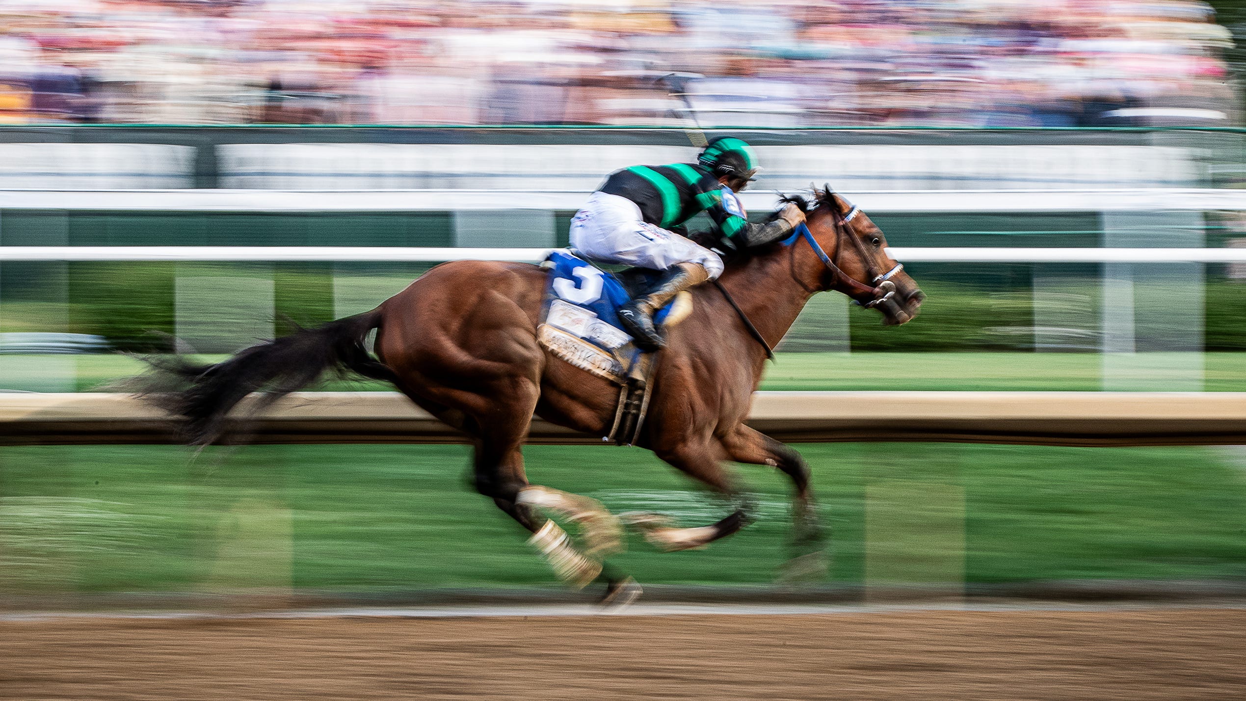 Kentucky Derby 2025: Analyzing Chunk Of Gold's Chances Kentucky Derby 2025: Analyzing Chunk Of Gold's Chances