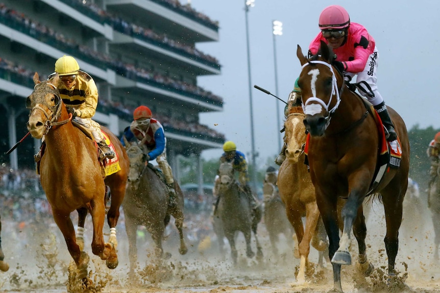 Kentucky Derby Winner Faces Steep Penalty For Excessive Whip Use Kentucky Derby Winner Faces Steep Penalty For Excessive Whip Use
