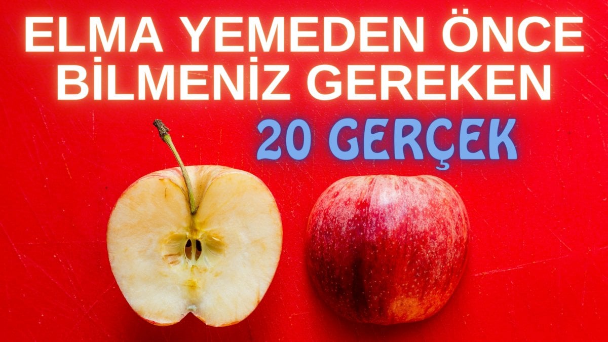 Kivinin Kabuğunun Faydaları Ve Riskleri: Yemeden Önce Bilmeniz Gerekenler Kivinin Kabuğunun Faydaları Ve Riskleri: Yemeden Önce Bilmeniz Gerekenler