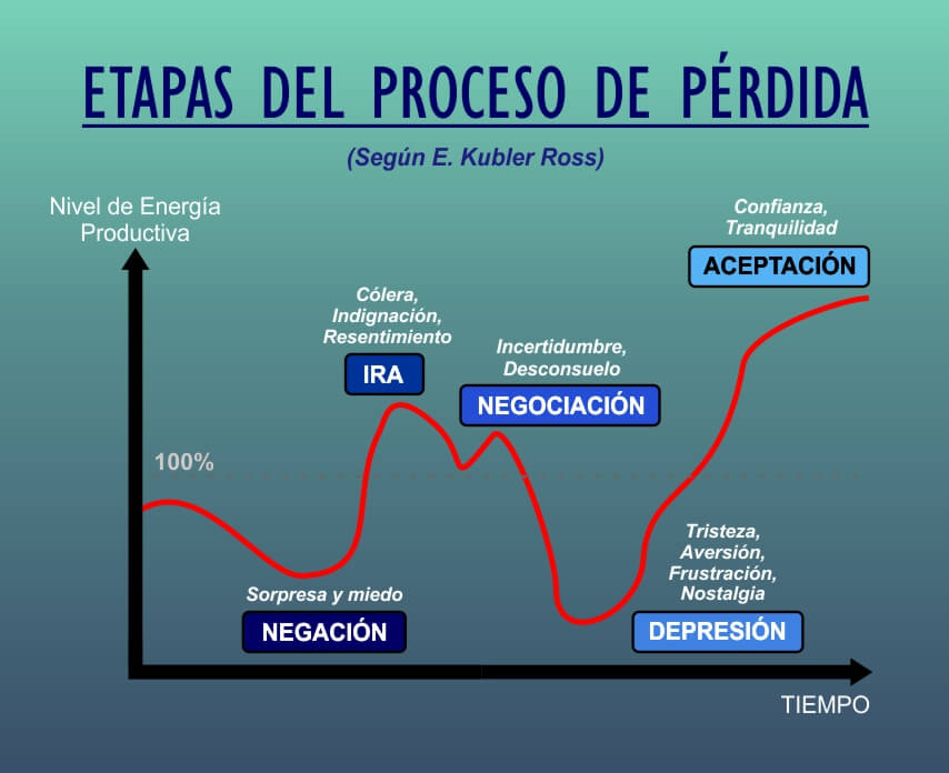 La AFA De Duelo: Tristeza Por La Pérdida De Un Joven Talento La AFA De Duelo: Tristeza Por La Pérdida De Un Joven Talento