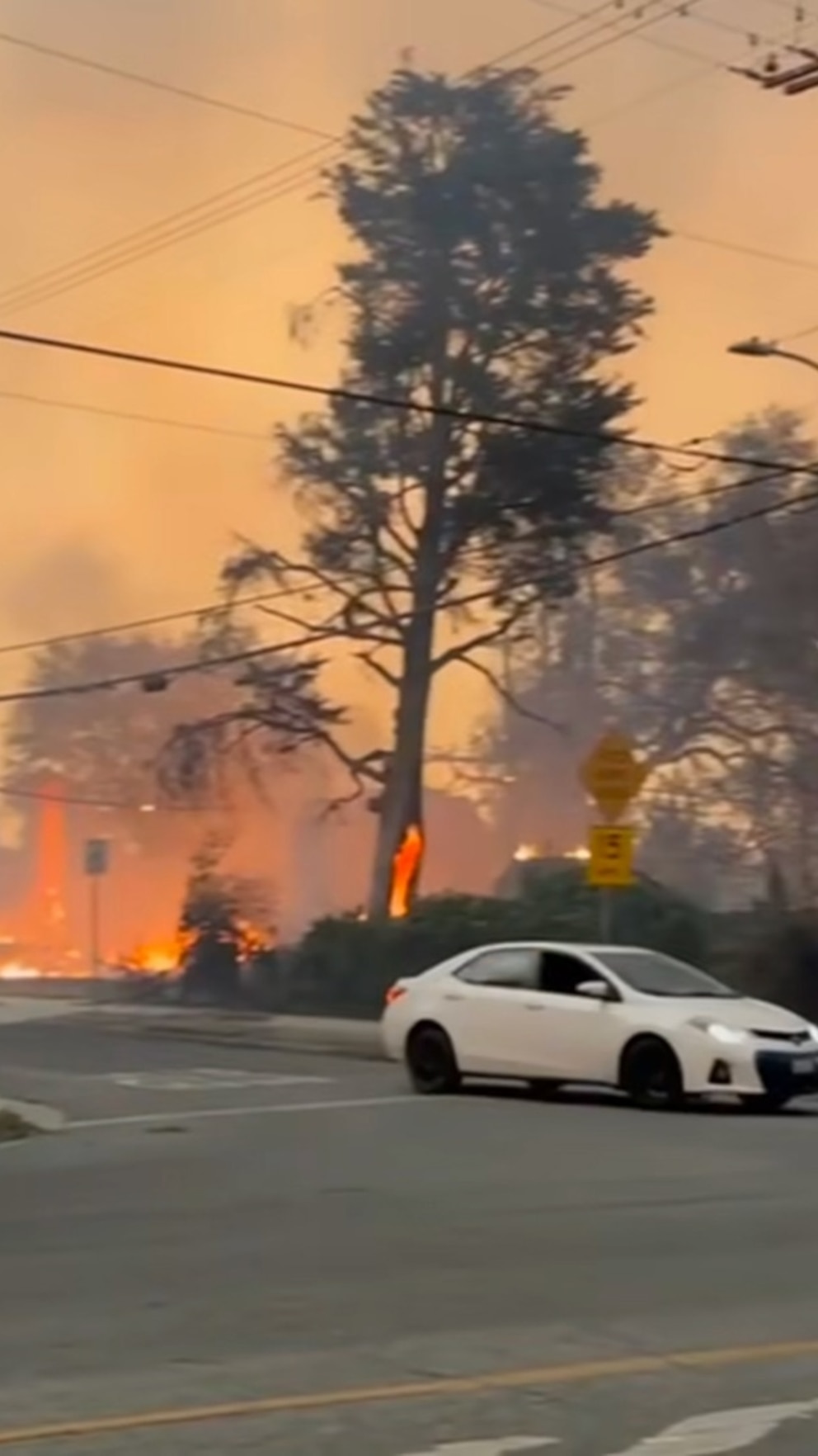 LA Palisades Fires: Impact On Celebrities And Their Homes - Full List LA Palisades Fires: Impact On Celebrities And Their Homes - Full List