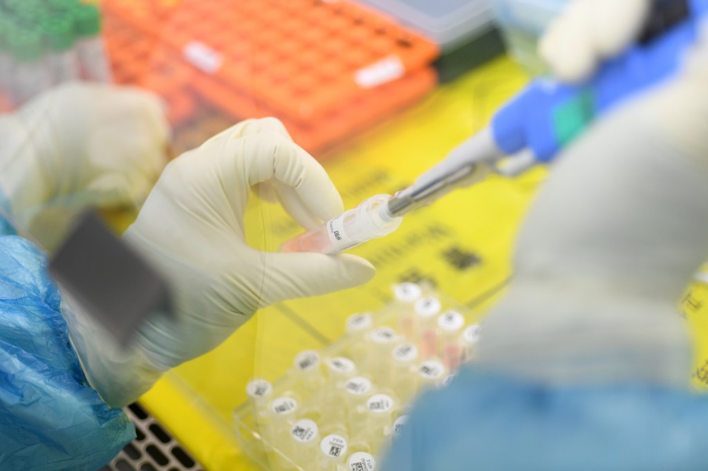 Lab Owner Admits To Falsifying COVID Test Results Lab Owner Admits To Falsifying COVID Test Results