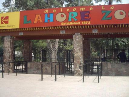 Lahore Zoo Ticket Price Hike: Clarification From Marriyum Aurangzeb Lahore Zoo Ticket Price Hike: Clarification From Marriyum Aurangzeb