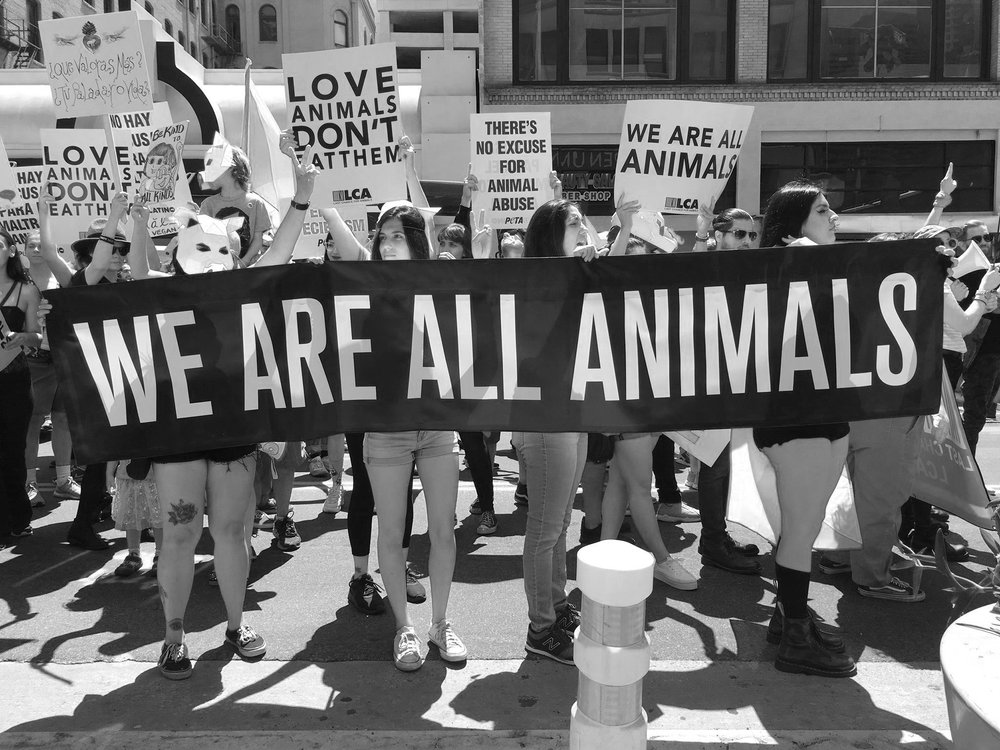 Lars Klingbeil Receives Order For Animal Welfare Efforts Lars Klingbeil Receives Order For Animal Welfare Efforts