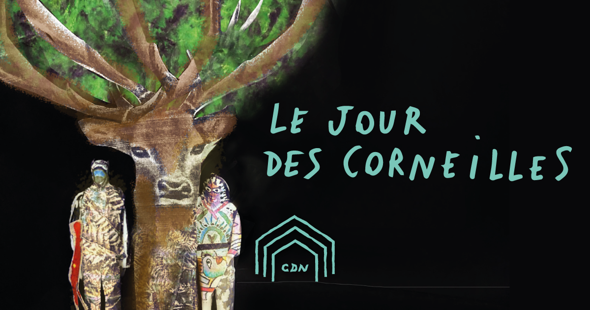 Le Super-pouvoir Géométrique Caché Des Corneilles Le Super-pouvoir Géométrique Caché Des Corneilles