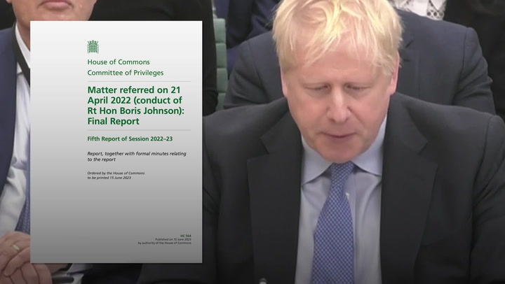 Lee Anderson's Attack: Tory Civil War Over Rupert Lowe Lee Anderson's Attack: Tory Civil War Over Rupert Lowe