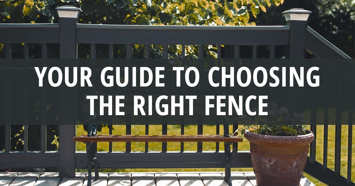 Living Fence Construction: Choosing The Right Plants And Techniques Living Fence Construction: Choosing The Right Plants And Techniques