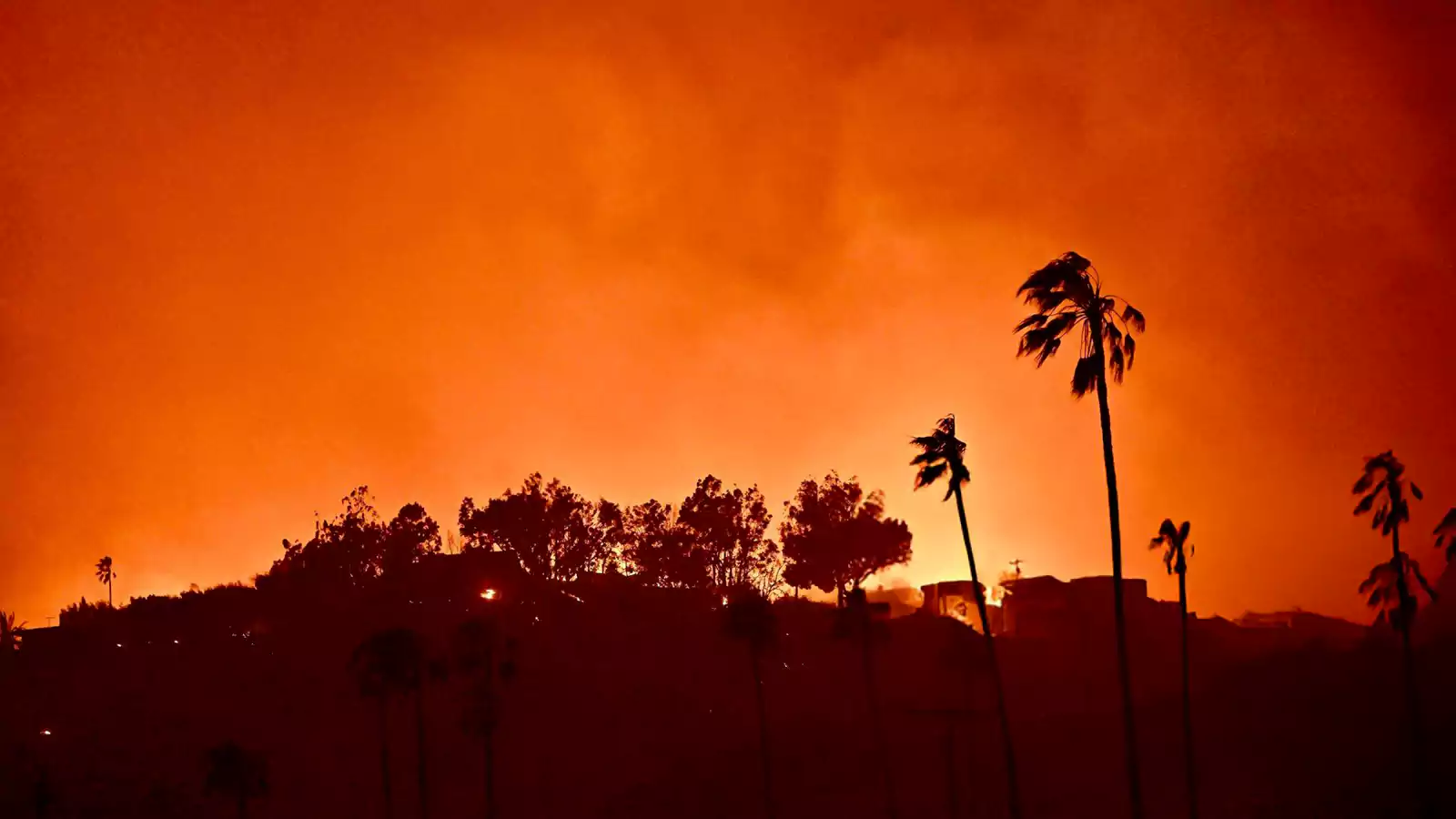 Los Angeles Wildfires: A Market For Disaster Betting? Los Angeles Wildfires: A Market For Disaster Betting?