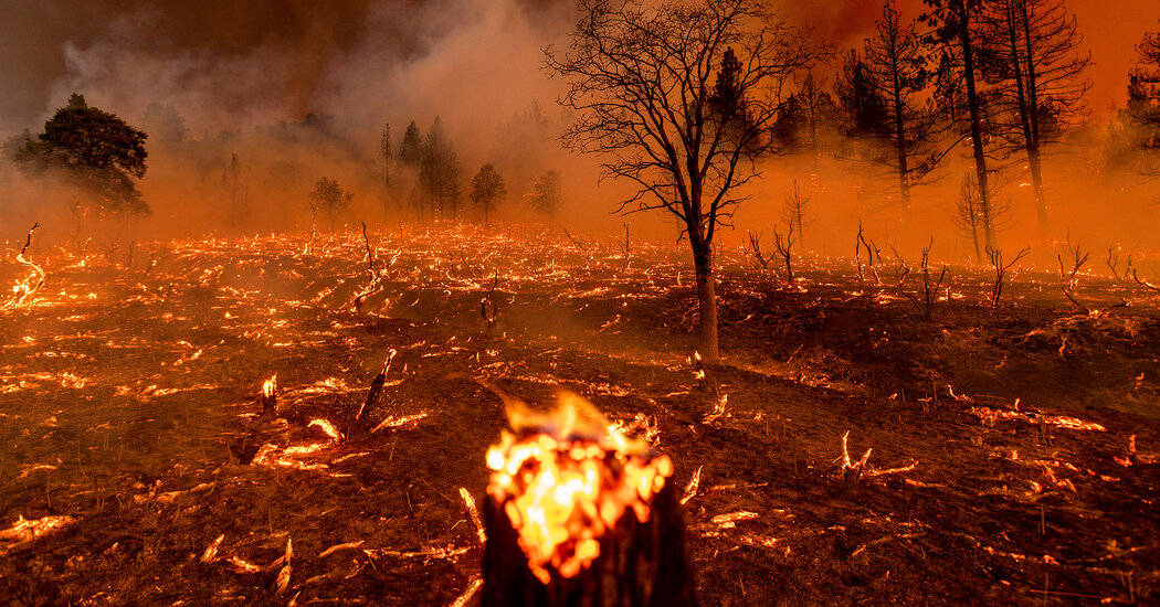Los Angeles Wildfires: A Reflection Of Our Times Through Gambling Trends Los Angeles Wildfires: A Reflection Of Our Times Through Gambling Trends