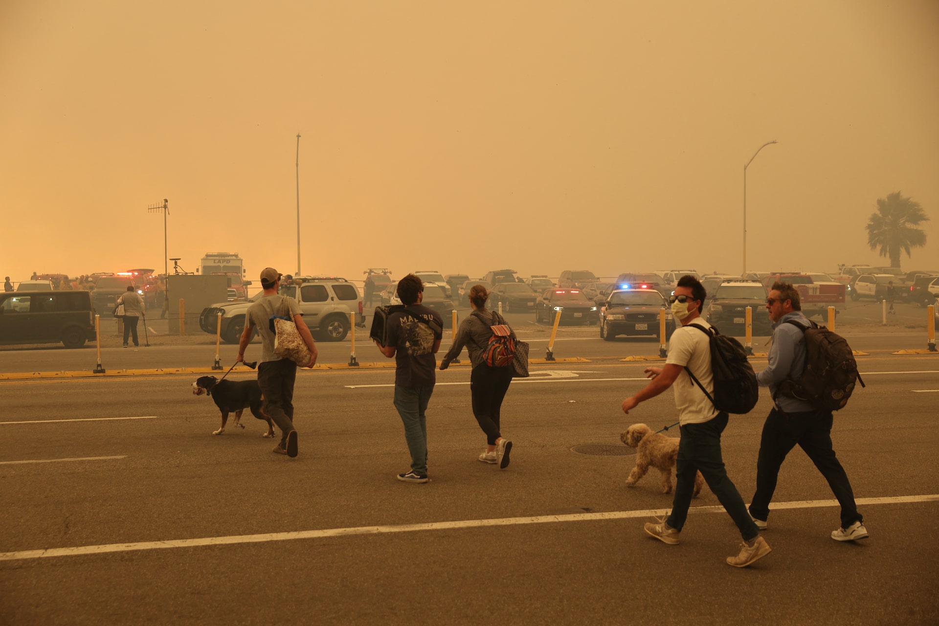 Los Angeles Wildfires And The Growing Market For Disaster-Related Betting Los Angeles Wildfires And The Growing Market For Disaster-Related Betting