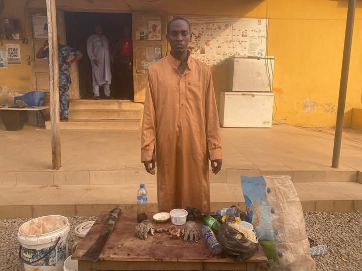 Major Crackdown: Army Dismantles 35 Illegal Refineries, Arrests 99 Major Crackdown: Army Dismantles 35 Illegal Refineries, Arrests 99