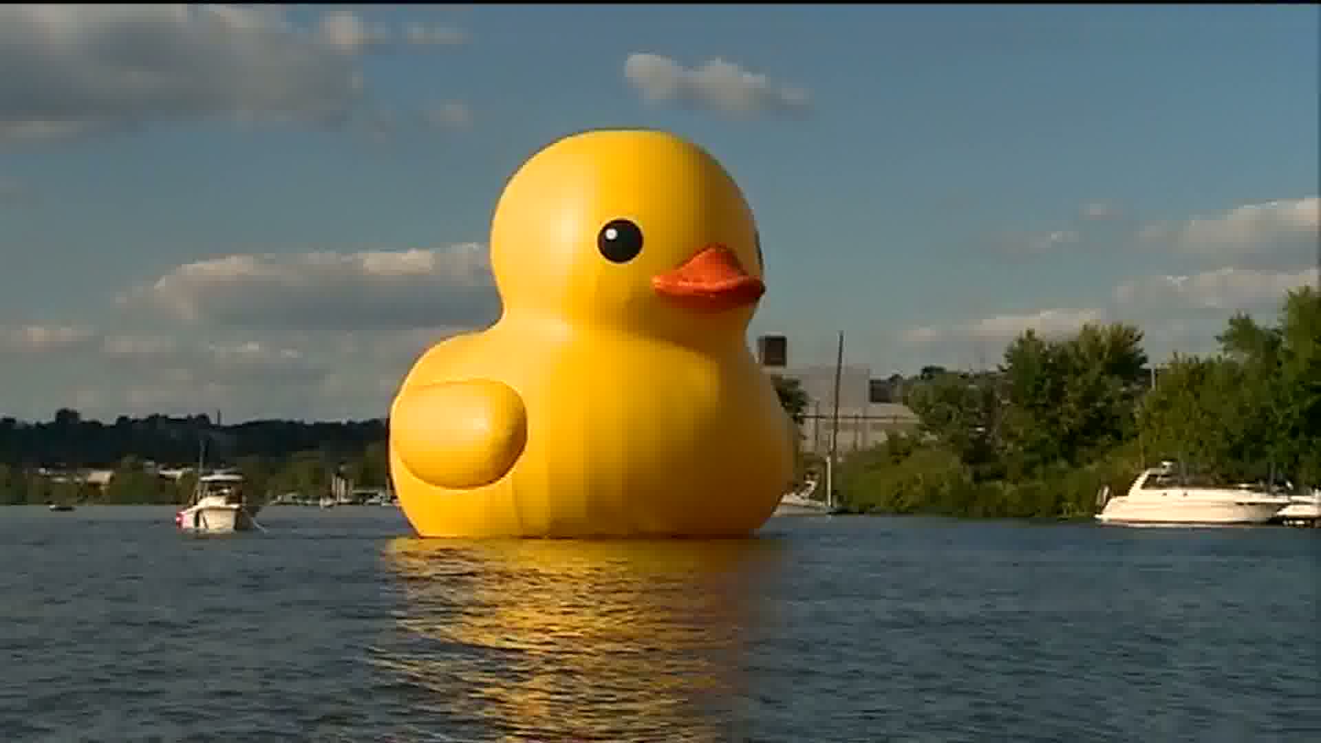Massive Rubber Duck Installation In Myrtle Beach: What's The Message? Massive Rubber Duck Installation In Myrtle Beach: What's The Message?