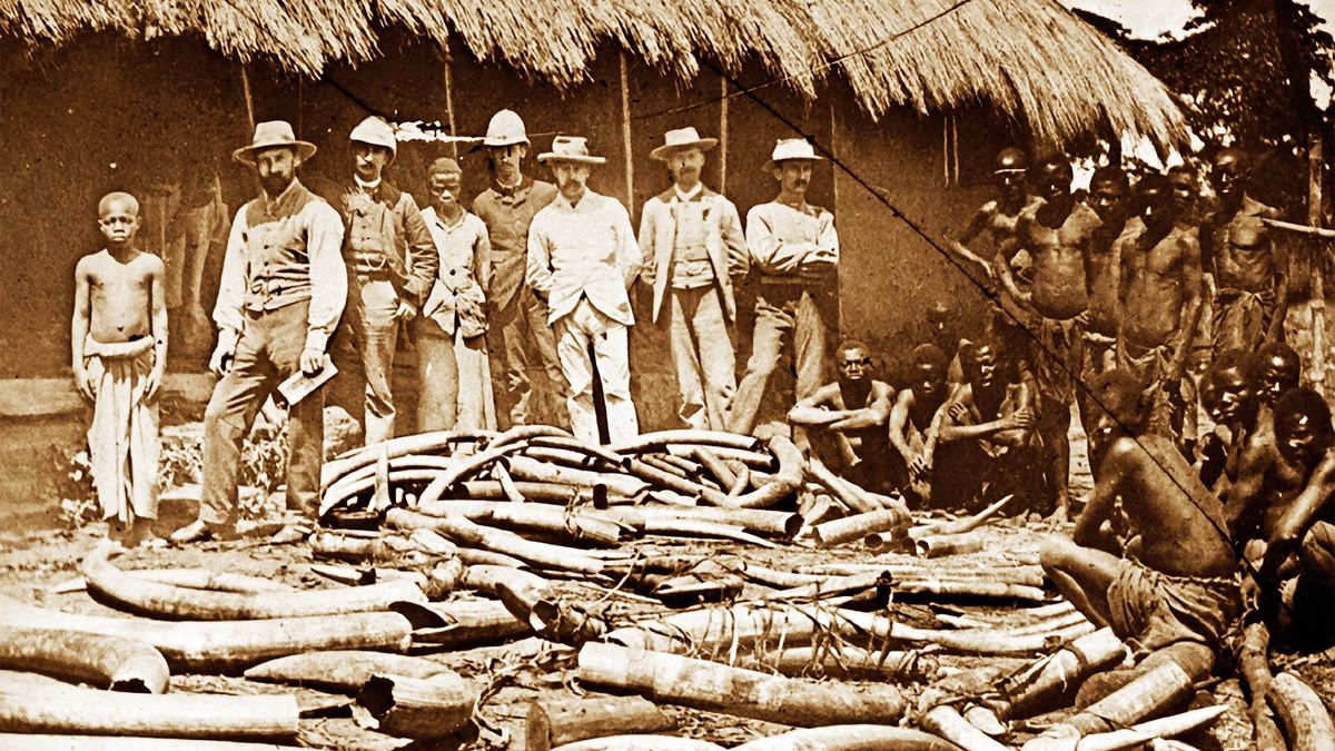 Mayotte And France: A Legacy Of Colonialism And Its Lasting Impact Mayotte And France: A Legacy Of Colonialism And Its Lasting Impact