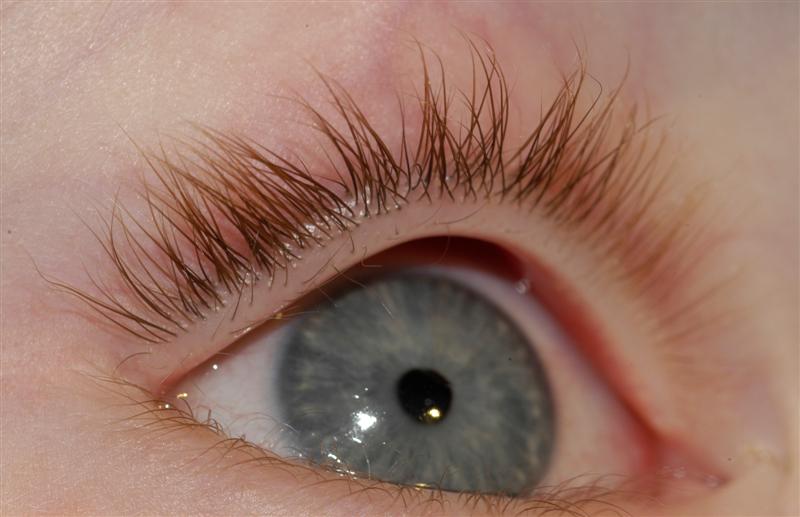 Men Shaving Eyelashes: A Growing Trend And Its Implications Men Shaving Eyelashes: A Growing Trend And Its Implications