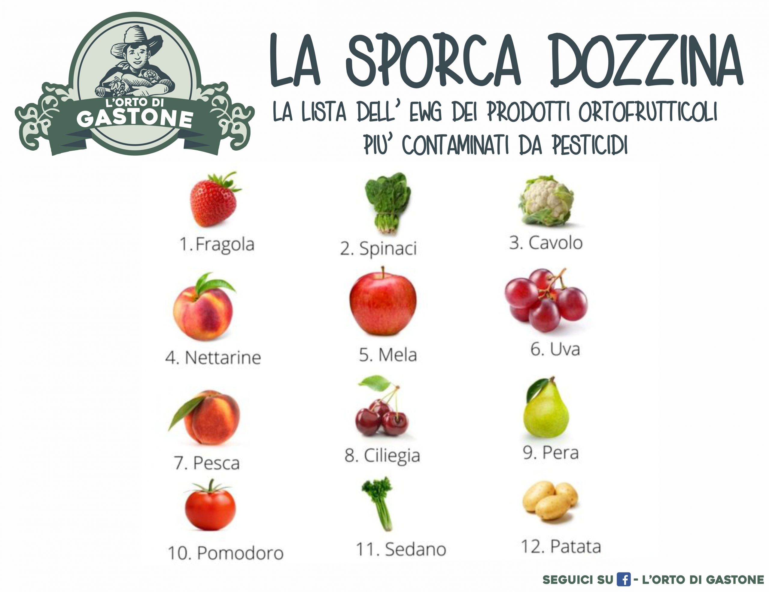 Microplastiche: Quali Sono Le Acque Più Contaminate? Microplastiche: Quali Sono Le Acque Più Contaminate?
