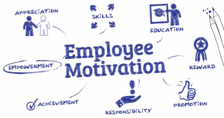 Middle Managers: Their Crucial Role In Company Performance And Employee Development