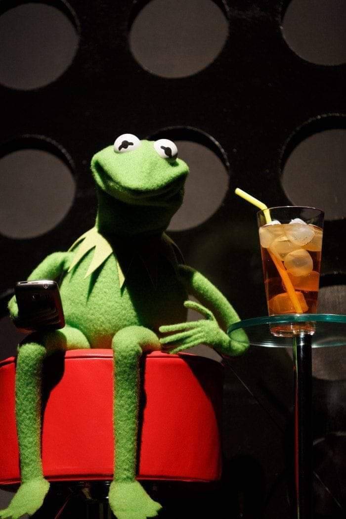 Muppet Legend Kermit To Address University Of Maryland Graduates In 2025 Muppet Legend Kermit To Address University Of Maryland Graduates In 2025