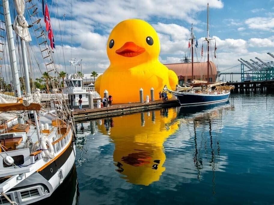 Myrtle Beach Welcomes The World's Largest Rubber Duck Myrtle Beach Welcomes The World's Largest Rubber Duck