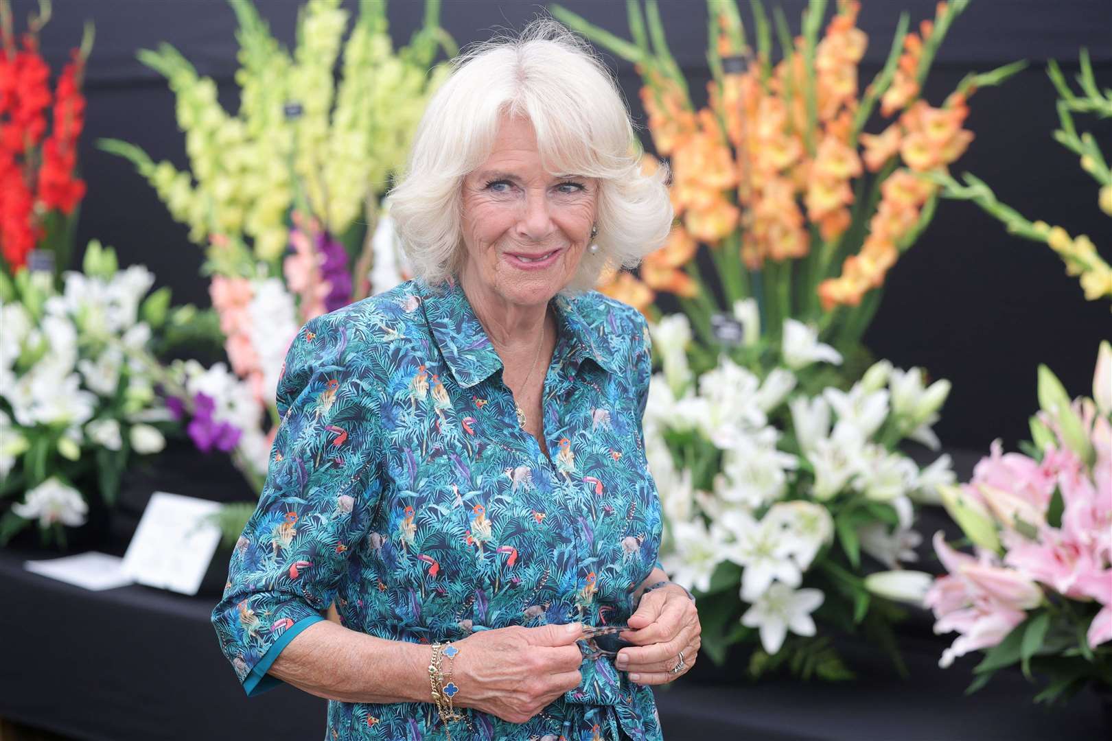 National Treasure Trafficking: Antiques Roadshow Episode Ends In Arrest National Treasure Trafficking: Antiques Roadshow Episode Ends In Arrest