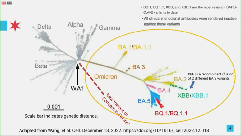 New COVID-19 Variant Driving Increased Case Numbers Worldwide: WHO Update New COVID-19 Variant Driving Increased Case Numbers Worldwide: WHO Update