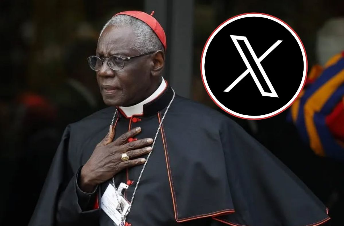 Next Papal Election: Potential Successors To Pope Francis Next Papal Election: Potential Successors To Pope Francis