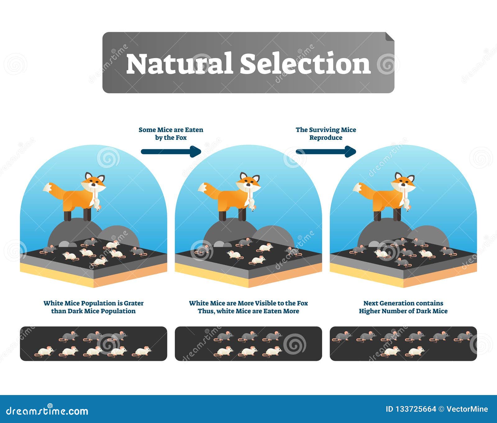 Nine Candidates, One Papacy: The Selection Process Explained Nine Candidates, One Papacy: The Selection Process Explained