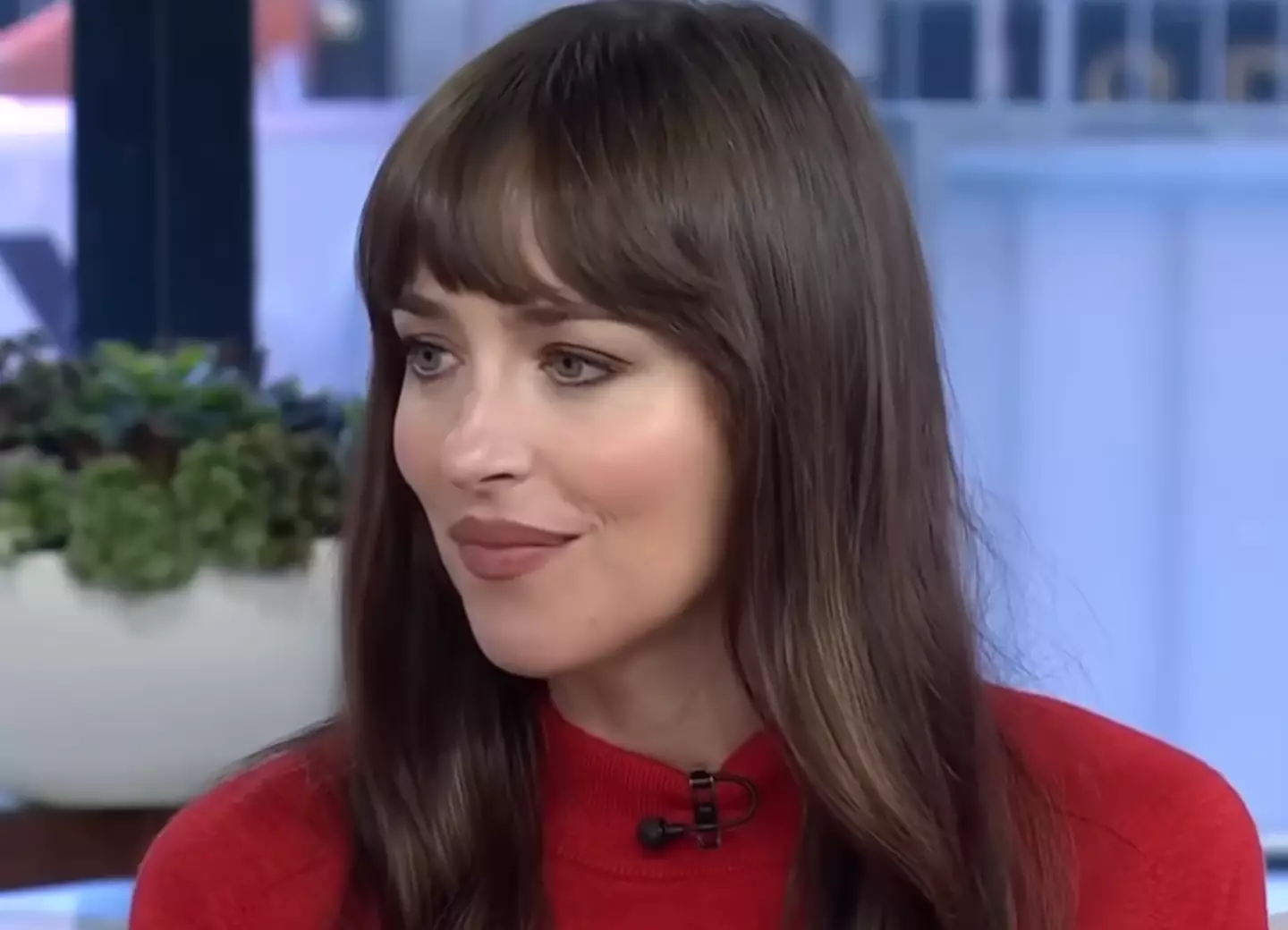 Nová Dakota Johnson Na Slovensku? Jej Slovenská Dvojníčka Šokuje! Nová Dakota Johnson Na Slovensku? Jej Slovenská Dvojníčka Šokuje!