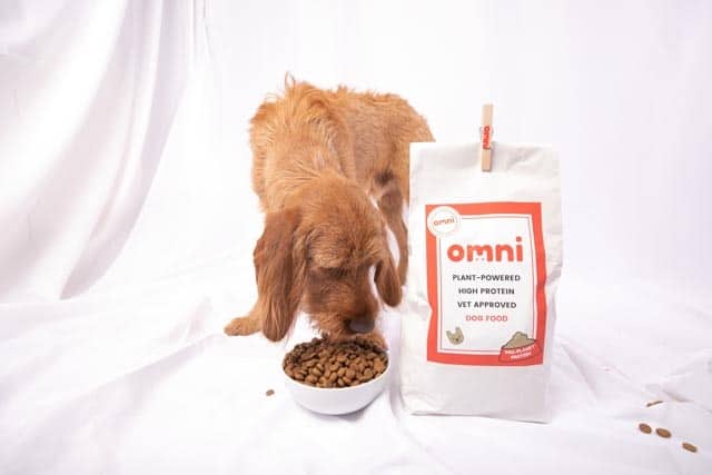 Omni Secures Dragon's Den Funding For Vegan Dog Food Brand Omni Secures Dragon's Den Funding For Vegan Dog Food Brand