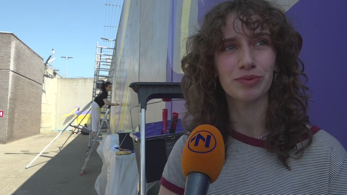 Onderzoek Naar Steekincident In Van Mesdagkliniek: Verdachte Malek F. Onderzoek Naar Steekincident In Van Mesdagkliniek: Verdachte Malek F.