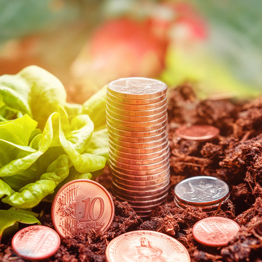 Optimiser Son Budget : 12 Astuces Pour Réaliser Des Économies Optimiser Son Budget : 12 Astuces Pour Réaliser Des Économies