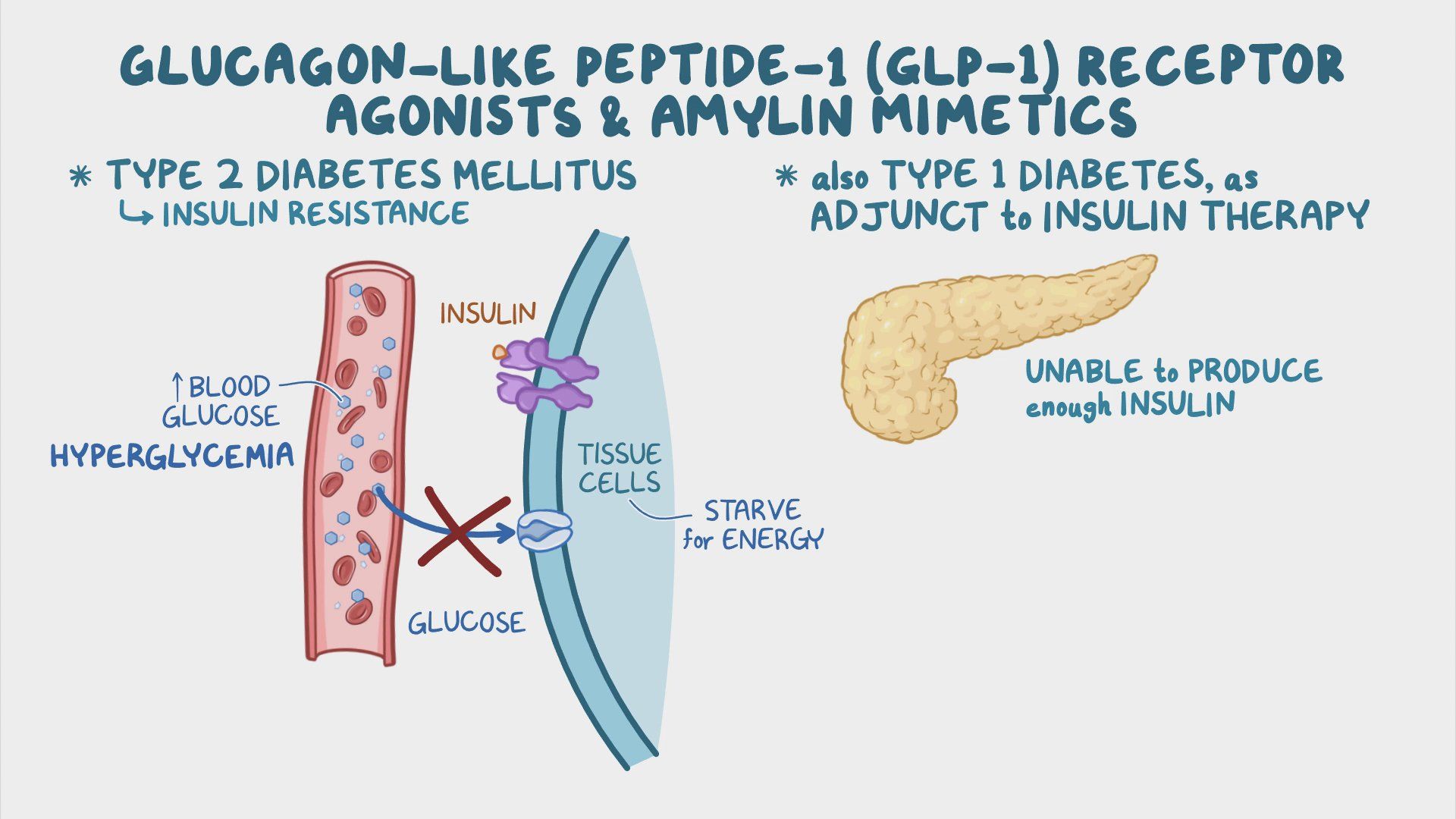 Ozempic For Everyone? Exploring GLP-1 Receptor Agonists And Their Expanding Use