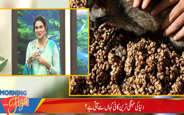 پاکستان سے بین الاقوامی شپنگ: 800 ڈالر تک اضافے کے عوامل پاکستان سے بین الاقوامی شپنگ: 800 ڈالر تک اضافے کے عوامل
