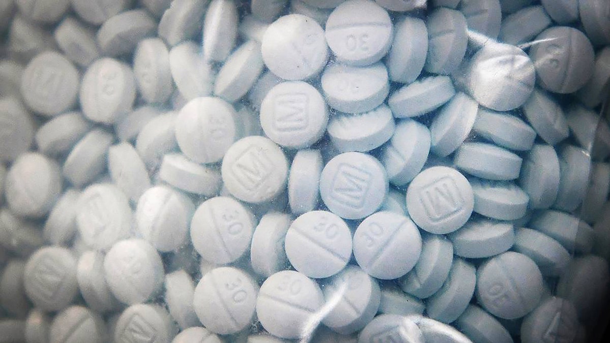 Pam Bondi Announces Historic Fentanyl Seizure: Details Of The Nationwide Drug Bust Pam Bondi Announces Historic Fentanyl Seizure: Details Of The Nationwide Drug Bust