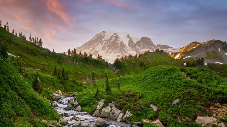 Pandemic Resilience: How Seattle's Green Spaces Supported One Woman Pandemic Resilience: How Seattle's Green Spaces Supported One Woman