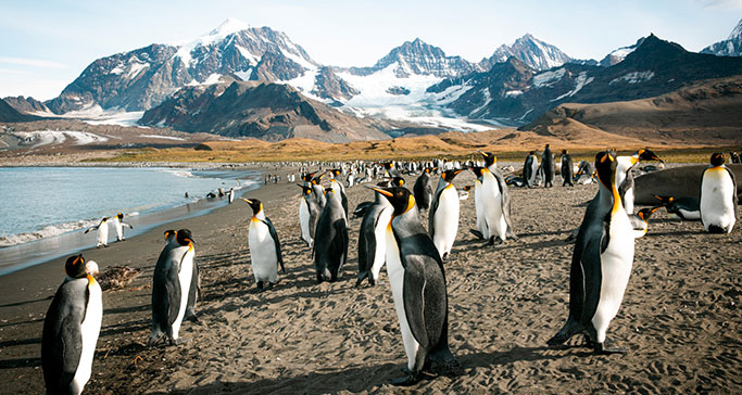 Paul Gauguin Cruises: Earn $1,500 Flight Credit With PONANT Paul Gauguin Cruises: Earn $1,500 Flight Credit With PONANT