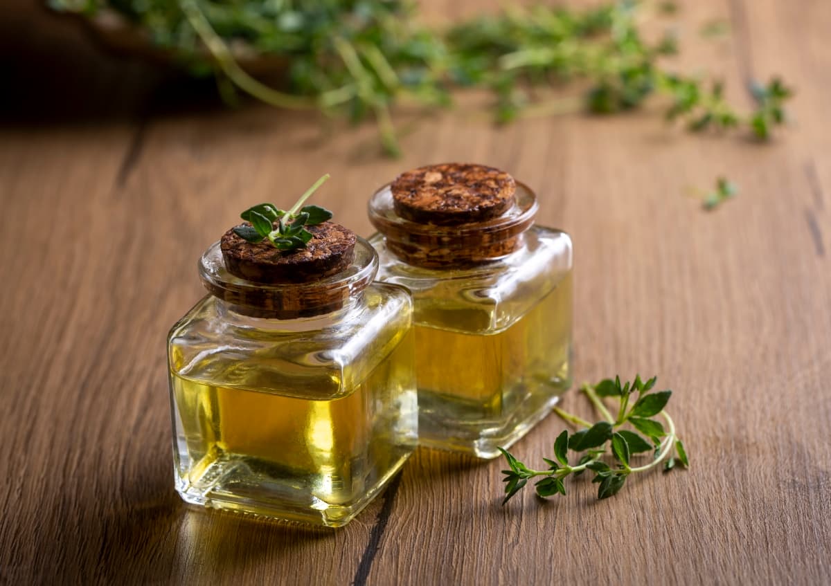 Pest And Disease Control For Rosemary & Thyme Plants Pest And Disease Control For Rosemary & Thyme Plants