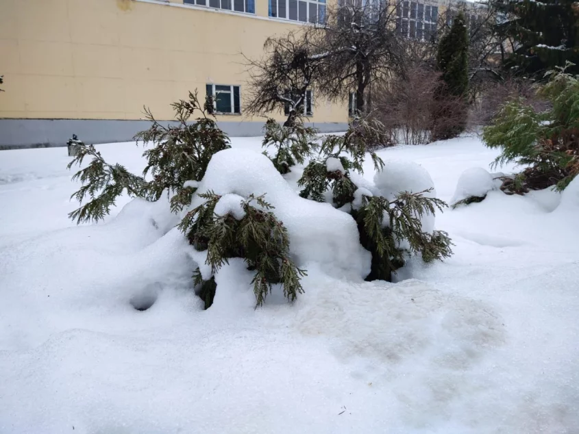 Погода В Ярославской Области: Снегопады И Метели Погода В Ярославской Области: Снегопады И Метели