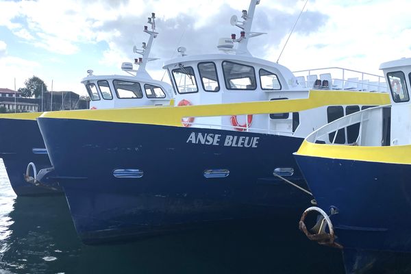 Port D'Abidjan : Le Diletta Marque Une Nouvelle Ère Pour Le Transport Maritime Port D'Abidjan : Le Diletta Marque Une Nouvelle Ère Pour Le Transport Maritime