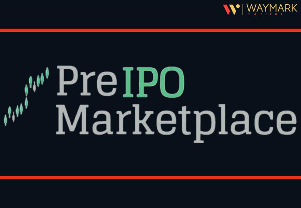 Pre-IPO Challenges: A Forerunner's Guide To Alternative Strategies Pre-IPO Challenges: A Forerunner's Guide To Alternative Strategies