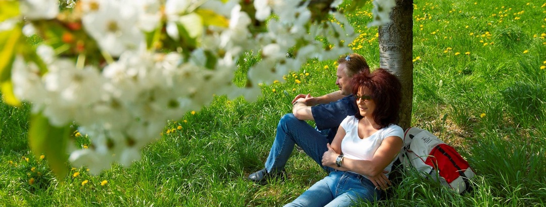 Pretzfeld: Die Schönsten Kirschblüten-Wanderwege In Der Fränkischen Schweiz Pretzfeld: Die Schönsten Kirschblüten-Wanderwege In Der Fränkischen Schweiz
