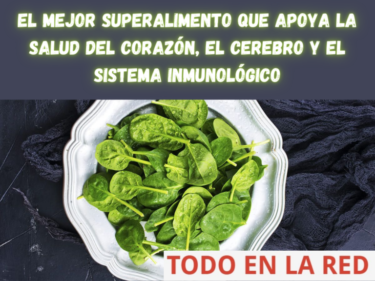 Prevención De Enfermedades Crónicas: Este Superalimento Es Mejor Que El Arándano Prevención De Enfermedades Crónicas: Este Superalimento Es Mejor Que El Arándano
